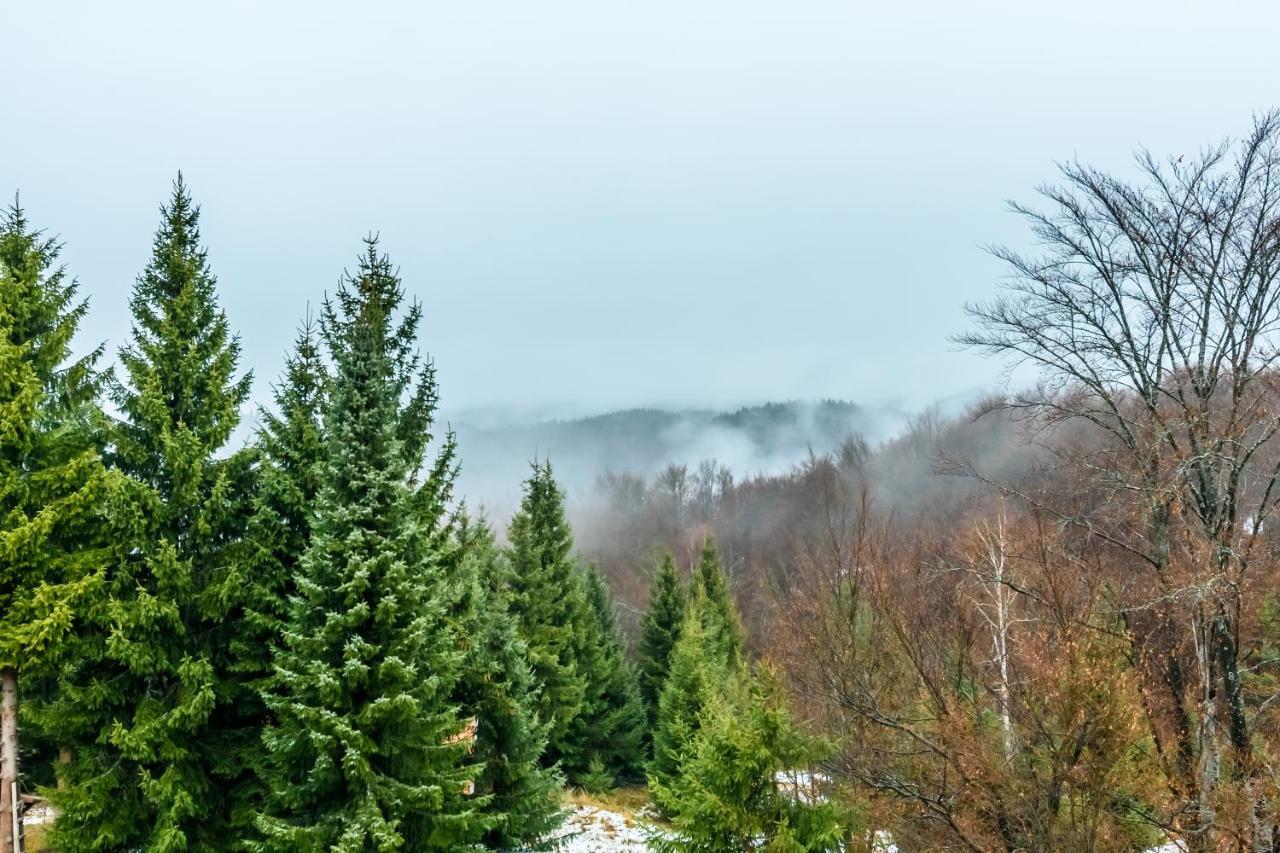 Apartmani “Lazar” I “Lena” Kopaonik Exteriér fotografie